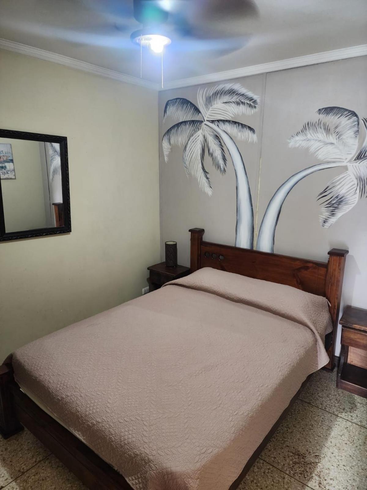 Costa Rica Backpackers Hostel San Jose  Bagian luar foto