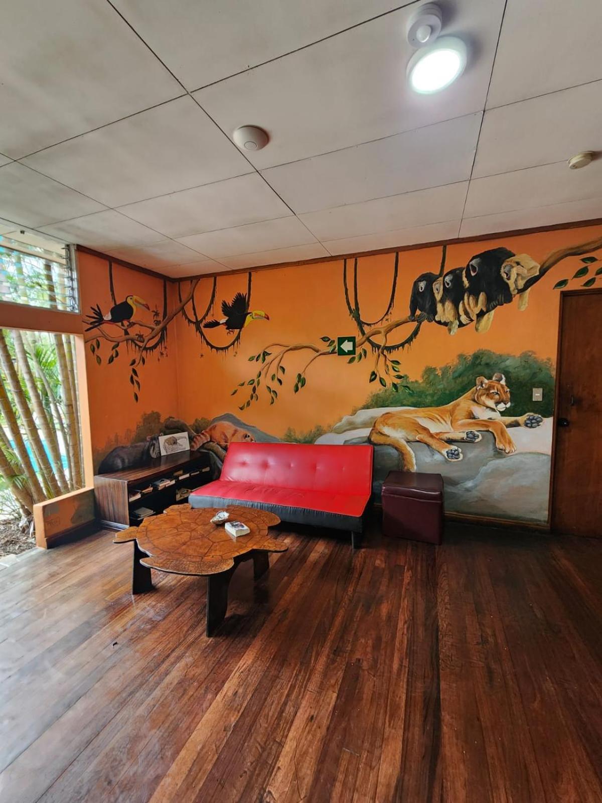 Costa Rica Backpackers Hostel San Jose  Bagian luar foto