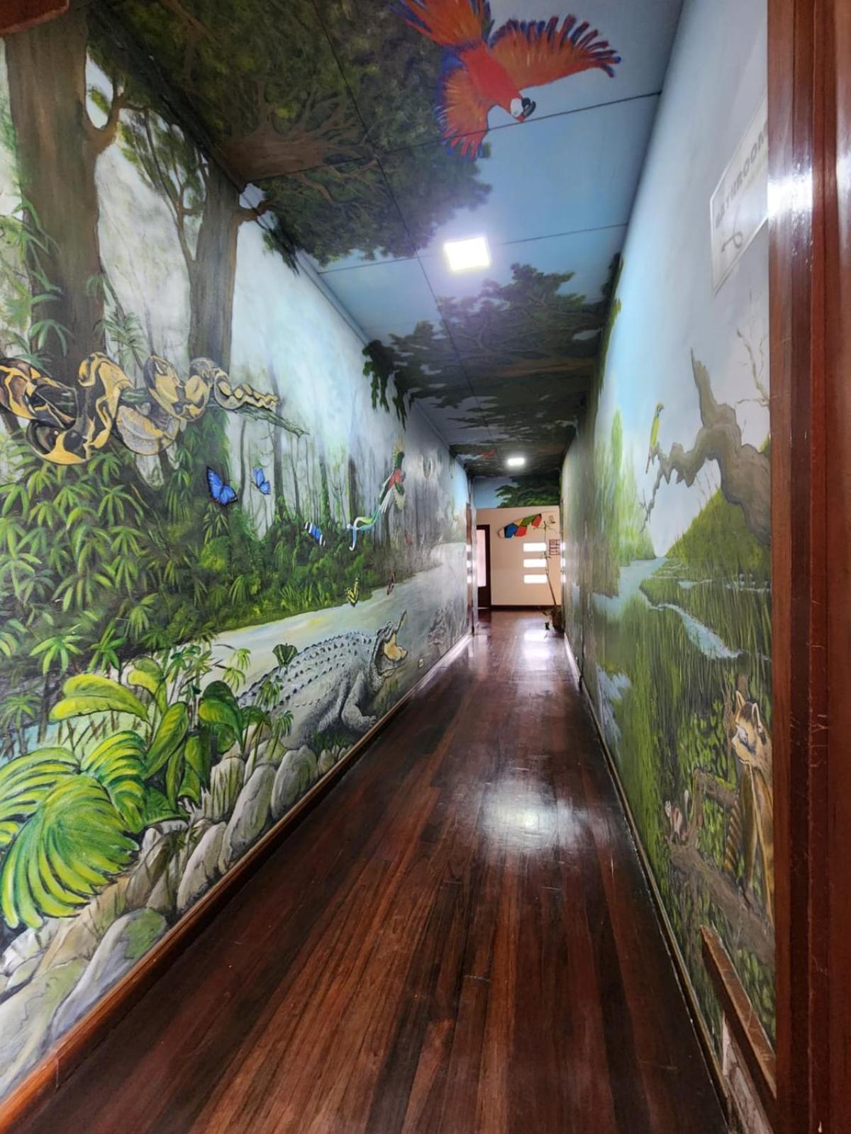 Costa Rica Backpackers Hostel San Jose  Bagian luar foto
